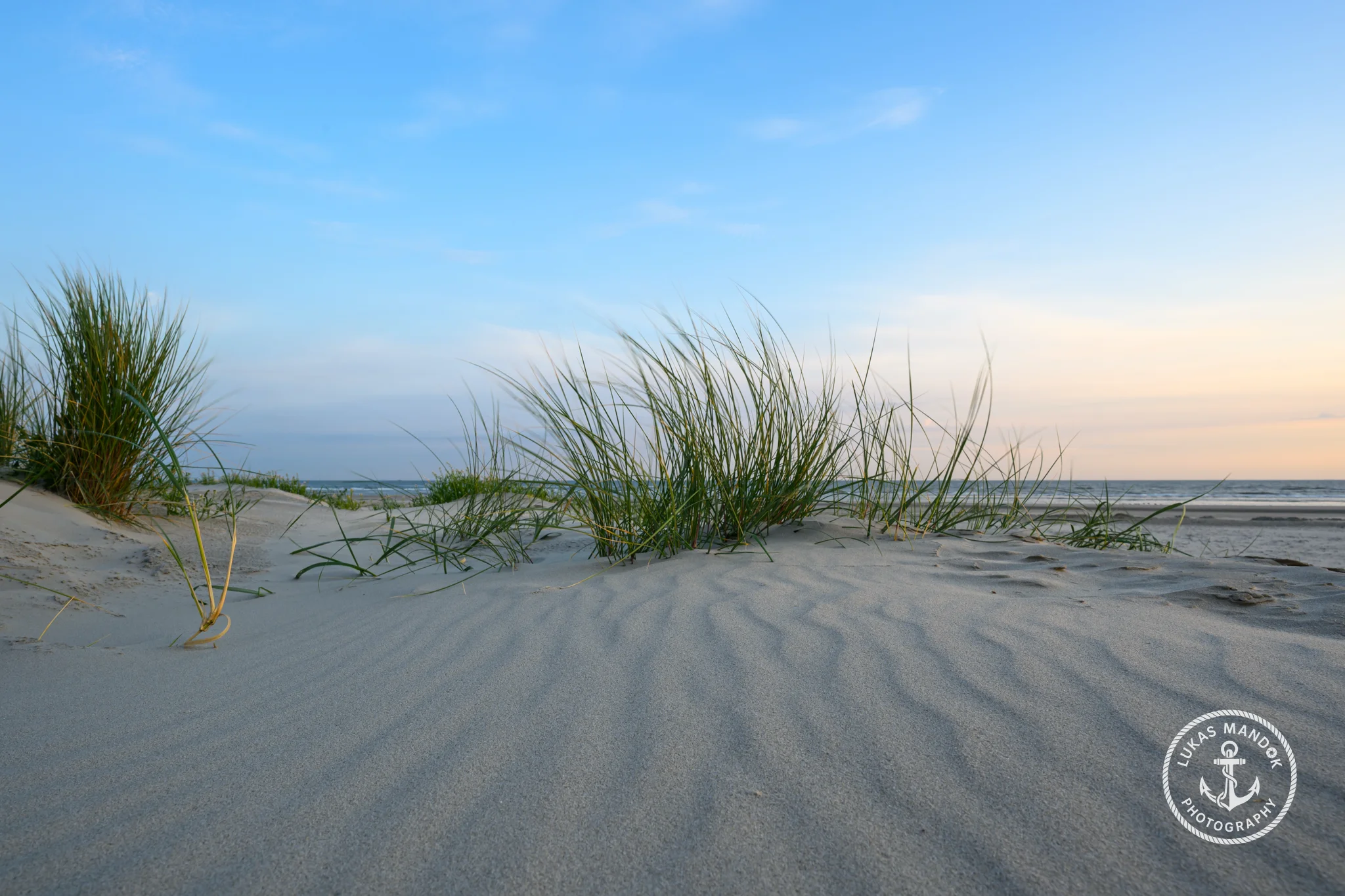 Dünengras am Strand